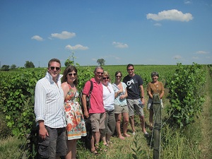 Half day wine tour in Saumur Vineyard