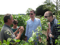 Wine tour in a saumur vineyard Le Puy Notre Dame